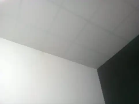 Pngrande20cm2's cam snapshot