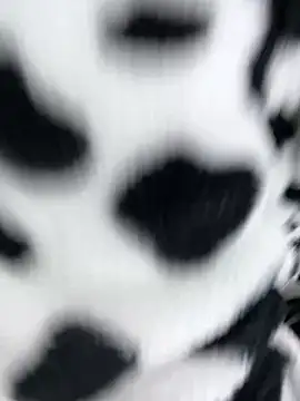 sandylau live sex cam