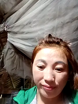 seacyre's cam snapshot