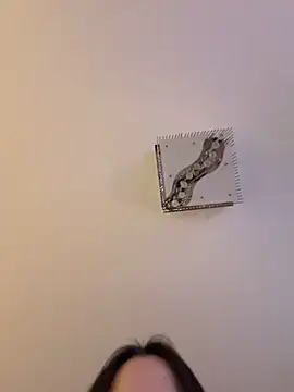 TheCinderella live sex cam