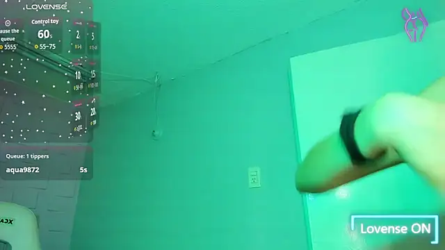 merolinegp's cam snapshot