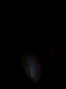 Talkwithsex's cam snapshot