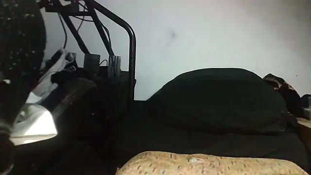 ILOVEhairywoman's cam snapshot