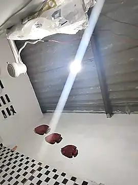 sexback11's cam snapshot