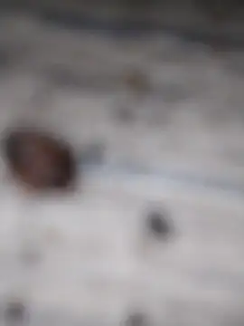 Andrzej-M live sex cam