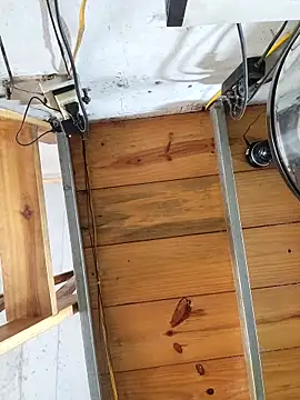 Deptraidatinh live sex cam