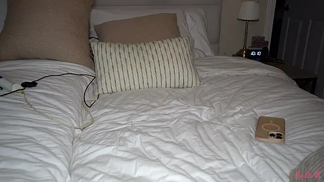 baedot's cam snapshot