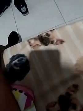 Chocolatito26 live sex cam