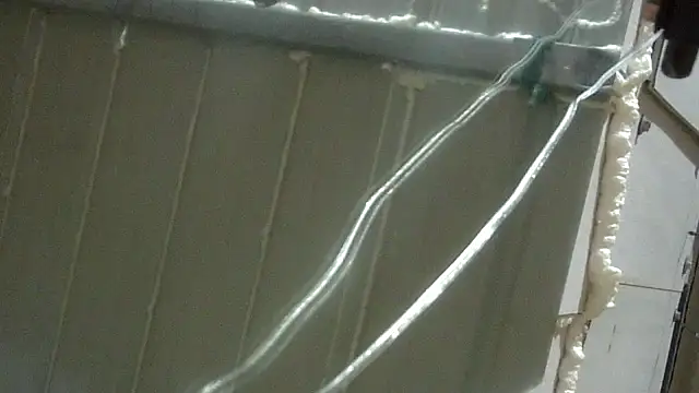 dreadredtedd live sex cam