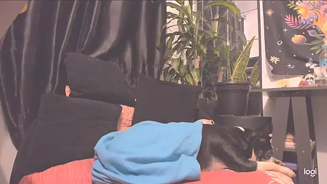 incognimeow's cam snapshot