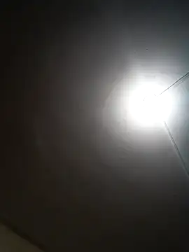 Carolina3's cam snapshot