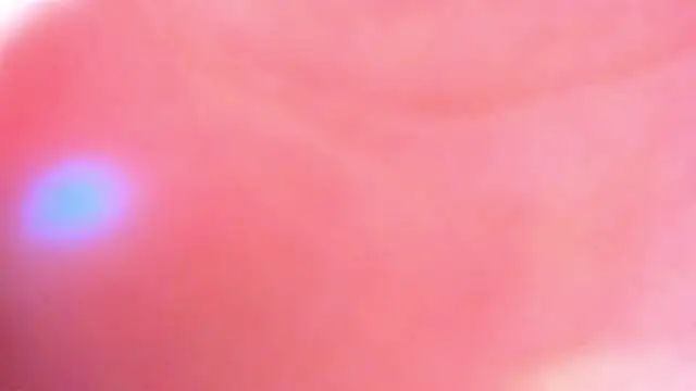 Eva_Davi live sex cam