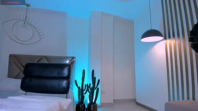 LaurentConnor's cam snapshot