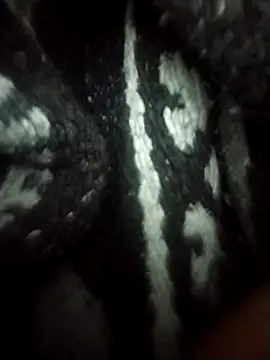 RevokingWaverer's cam snapshot