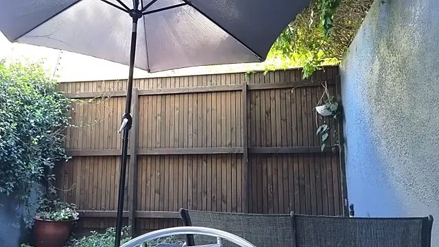 TopsyWilde's cam snapshot