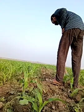 ThethunderPo live sex cam