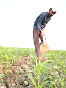 ThethunderPo live sex cam