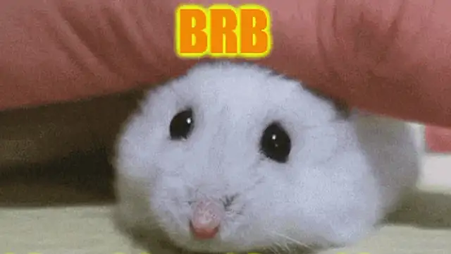 Lolly_Fly's cam snapshot