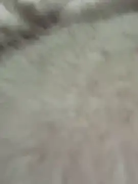 Butterfly8385's cam snapshot