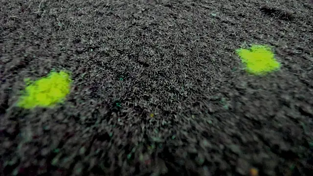 AishaRouhi live sex cam