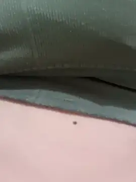 CuteSarikaLIVE's cam snapshot