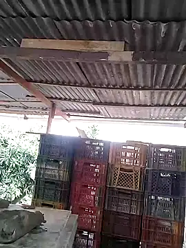 hoteder live sex cam