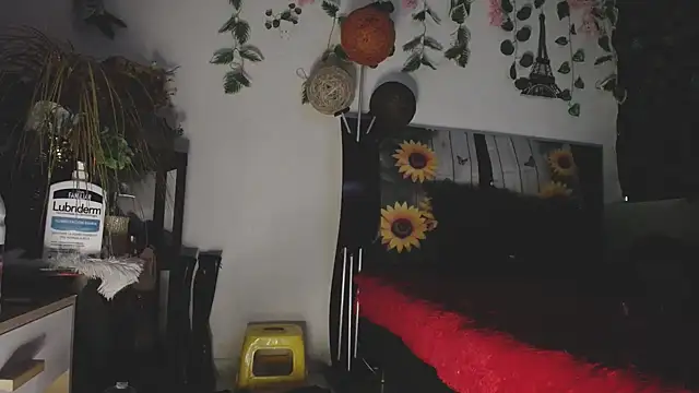 ZaraNoor-777's cam snapshot