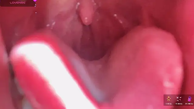 LT-333's cam snapshot