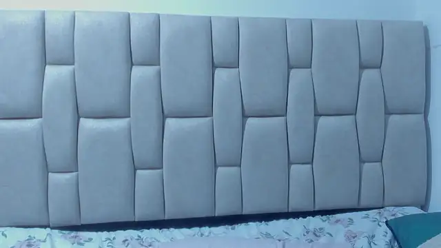 alennax's cam snapshot