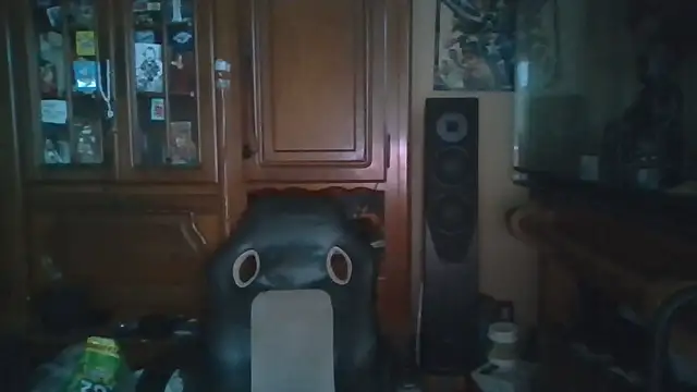 Zzzzipman92's cam snapshot