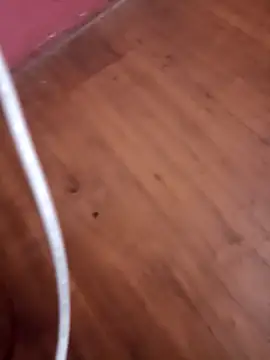 Santoduwa's cam snapshot