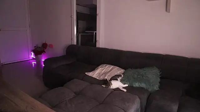 _Vahos_ live sex cam