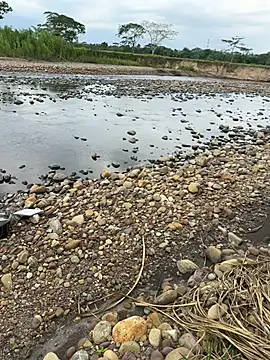 thomas_and_brush live sex cam