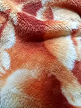 Expresshorse's cam snapshot