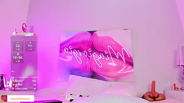 Miagiorgia_'s cam snapshot