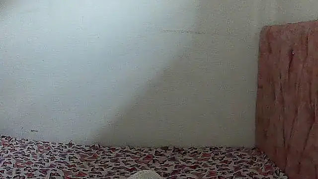 charrysexy1's cam snapshot