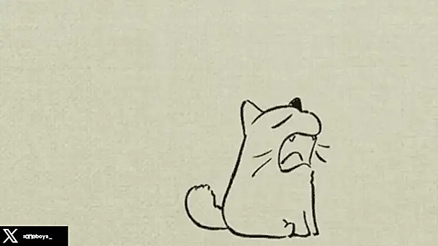 zoneboys's cam snapshot