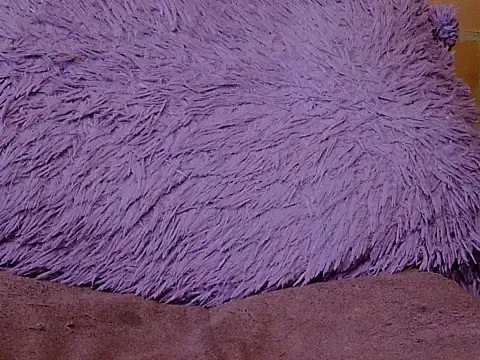 pamelasophia19 live sex cam