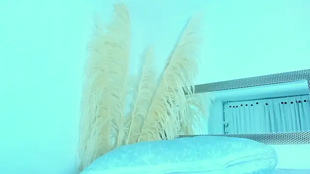 allison_01stone's cam snapshot