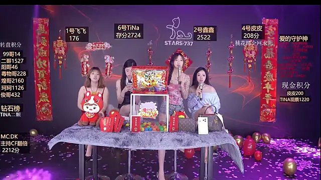 STARS-737's cam snapshot