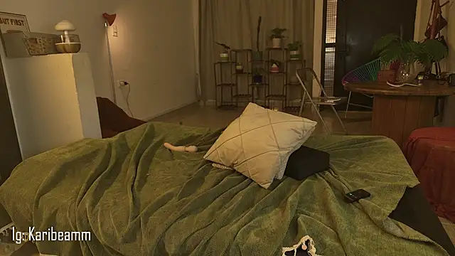 Karibeam's cam snapshot