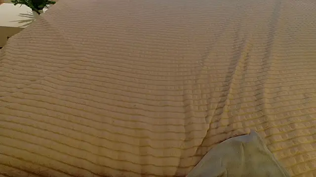 Betty_June live sex cam