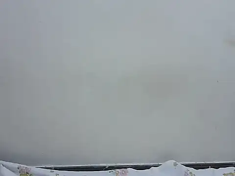 prettybeee's cam snapshot