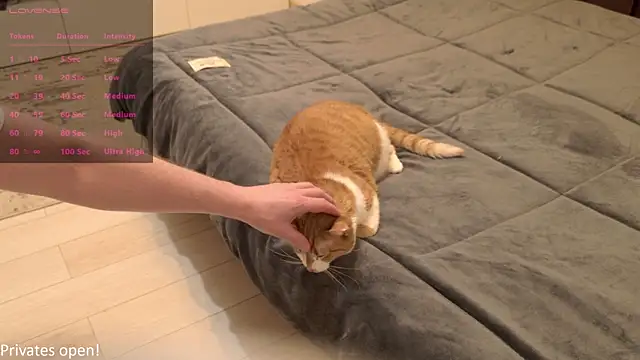 Moonsire1's cam snapshot