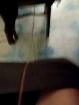 SO-UNICO's cam snapshot