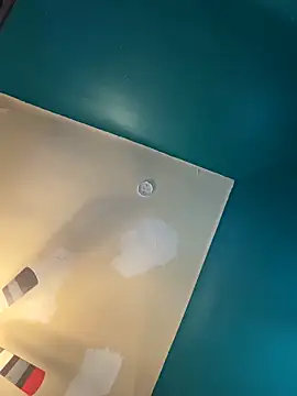 charactrzero's cam snapshot