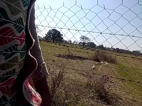 Punam_sing's cam snapshot