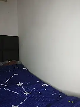 Aranzatits's cam snapshot