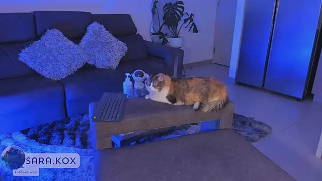 Channel-kox live sex cam