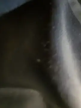 nyrazen's cam snapshot